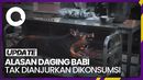 7 Alasan Ilmiah Mengapa Tak Dianjurkan Makan Daging Babi