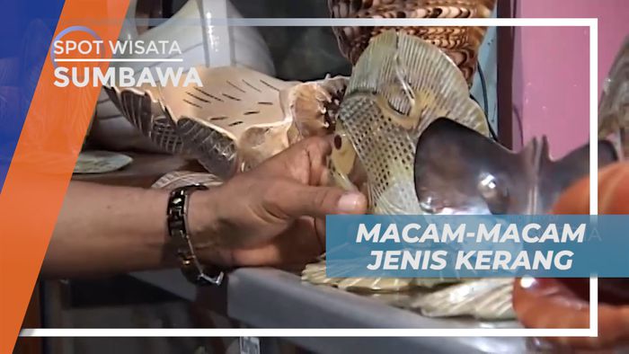 Melihat Bergam Koleksi Unik Kerajinan Berbahan Kulit Kerang, Sumbawa