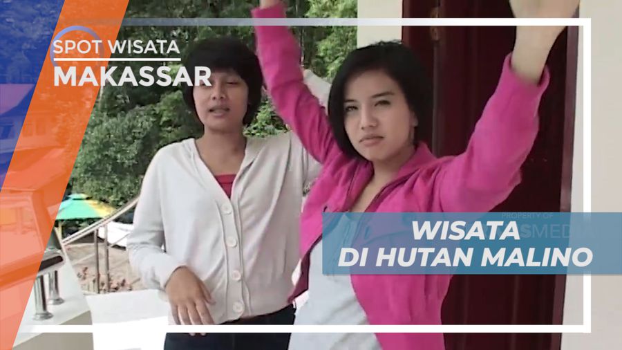 Liburan Seru, Mengujungi Destinasi Wisata Hutan Malino yang Sejuk, Makassar