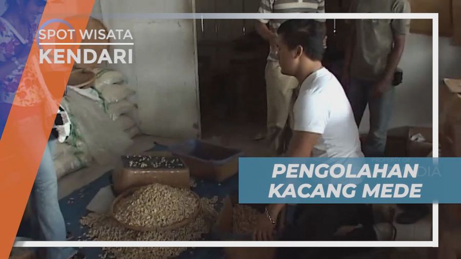 Melihat Dari Dekat Pengolahan Kacang Mede di Kendari