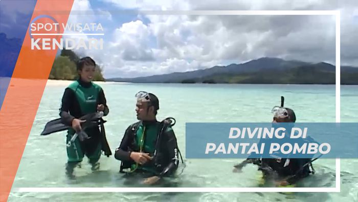 Diving di Pantai Pombo Ambon, Melihat Dari Dekat Keindahan Biota Lautnya