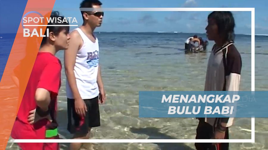 Belajar Menangkap Bulu Bali Bersama Nelayan Pantai Geger Bali
