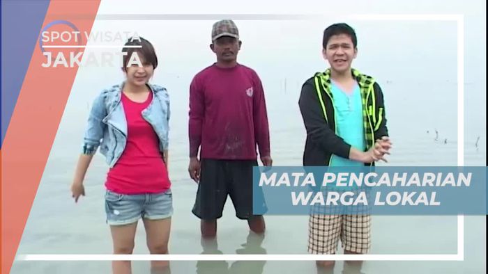 Rumput Laut, Salah Satu Mata Pencaharian Warga Kepulauan Seribu, Jakarta