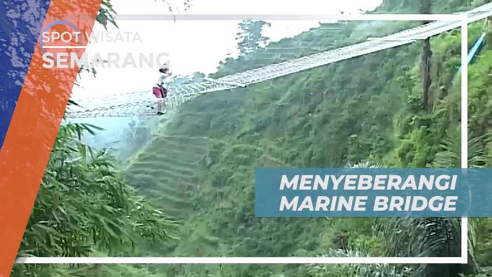 Menyebrangi Marine Bridge, Memacu Adrenalin Berjalan di Atas Jaring, Semarang
