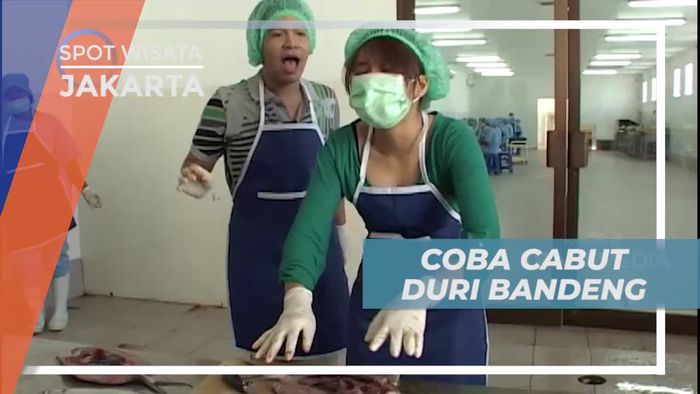 Mencoba Mencabut Duri Ikan Bandeng, Keseruan Wisata di Jakarta
