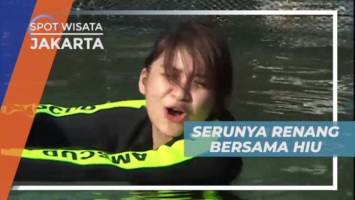 Melawan Rasa Takut Dengan Berenang Bersama Hiu, Jakarta