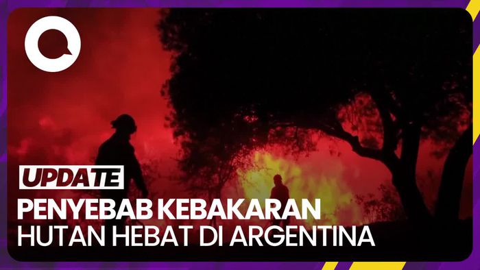 Api Unggun untuk Bikin Kopi Diduga Picu Kebakaran Hutan Argentina