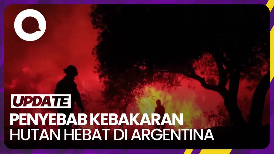 Api Unggun untuk Bikin Kopi Diduga Picu Kebakaran Hutan Argentina