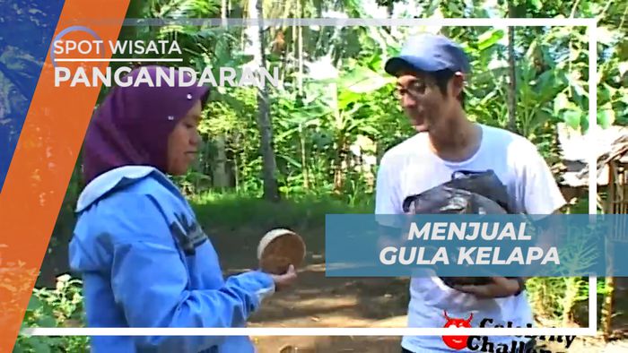 Berburu Cuan, Menjual Gula Kelapa Buatan Sendiri Keliling Desa Cimerah, Pangandaran