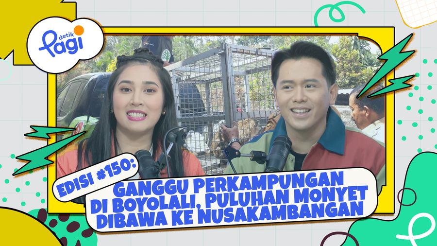Ganggu Perkampungan di Boyolali, Puluhan Monyet Dibawa ke Nusakambangan