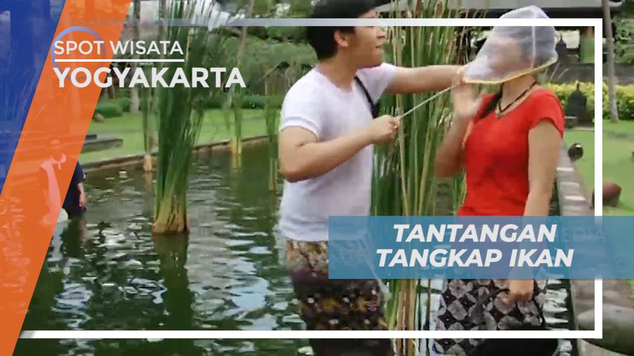 Tantangan Menangkap Ikan di Penginapan Bernuansa Mewah Yogyakarta