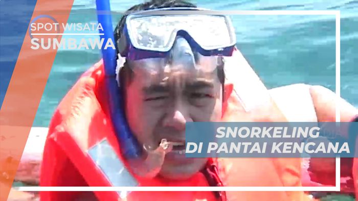 Snorkeling Menikmati Keindahan Aneka Biota Laut Pantai Kencana Sumbawa