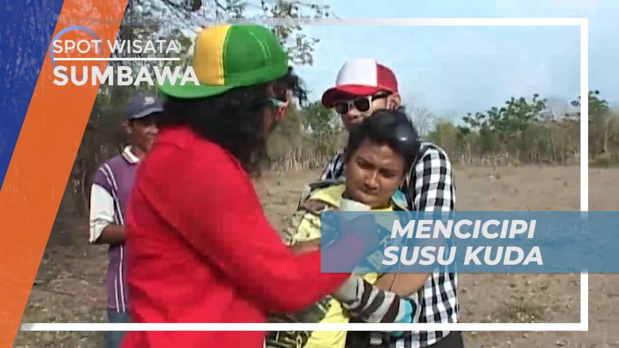 Mencicipi Cita Rasa Khas Susu Kuda, Sumbawa