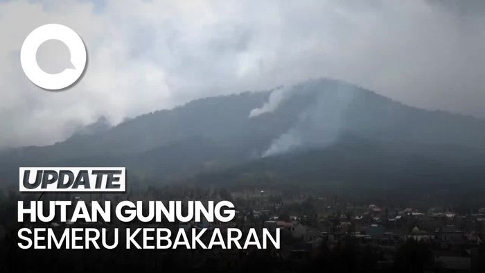 Kemarau Panjang, Hutan Gunung Semeru Kebakaran