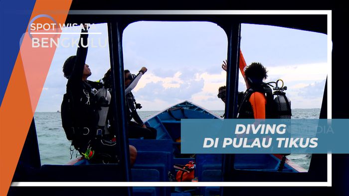 Menyelami Indahnya Surga Bawah Laut Pulau Tikus yang Mempesona, Bengkulu