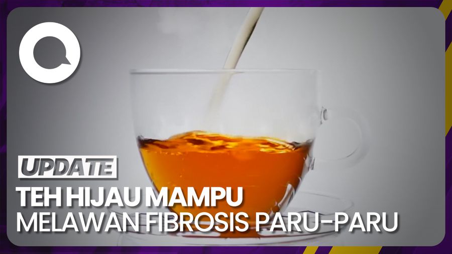 Melawan Dampak Buruk Polusi Udara dengan Teh Hijau