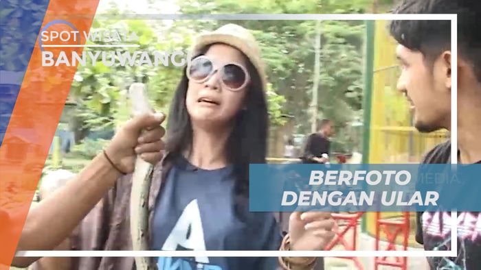Uji Nyali, Cekrak-cekrek Berpose Seru Dengan Ular, Bangka