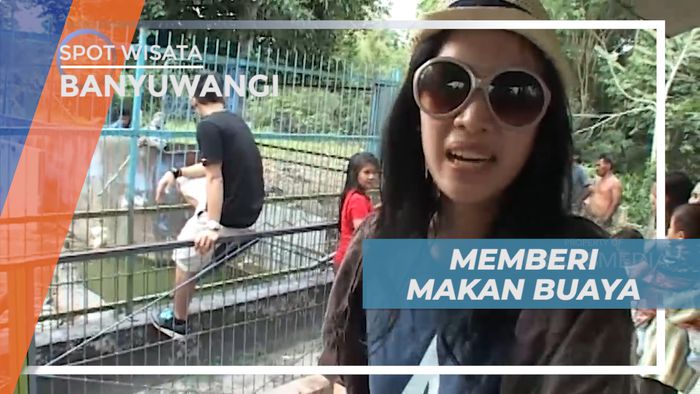 Pengalaman Seru, Berkesempatan Memberi Makan Buaya di Taman Satwa, Bangka