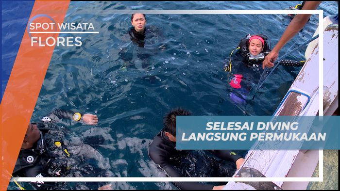 Keseruan Menyelami Keindahan Bawah Laut Pulau Sebayur, Flores