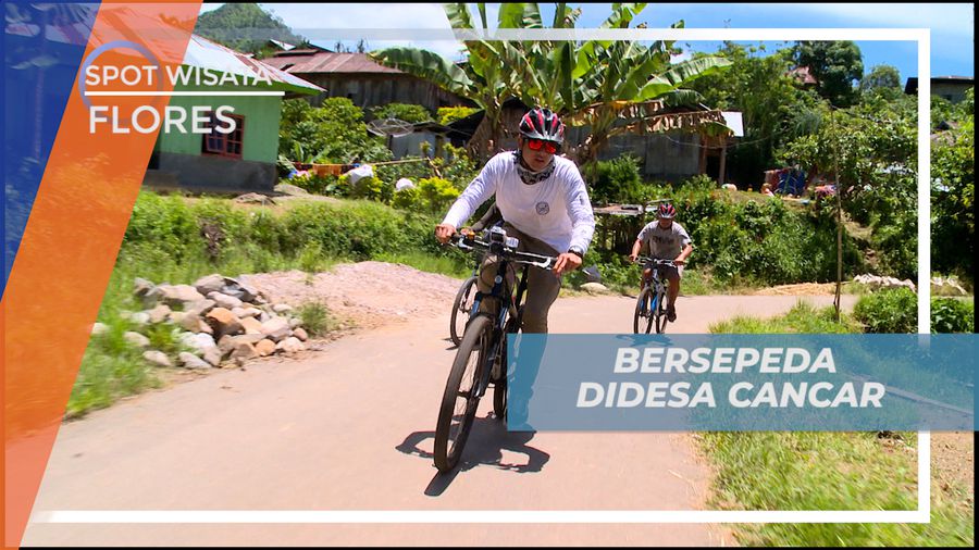 Menikmati Suasana Persawahan Dengan Bersepeda Keliling Desa Cancar, Flores