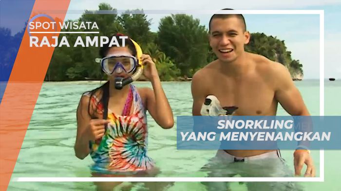 Mengintip Indahnya Pemandangan Bawah Laut di Raja Ampat