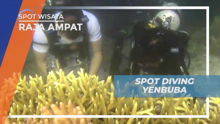 Menyelami Pesona Keindahan Spot Diving Yenbuba yang Memukau, Raja Ampat