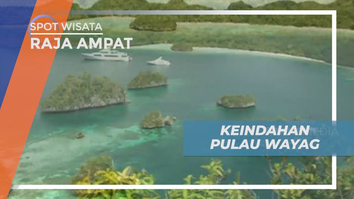 Menikmati Pesona Keindahan Pulau Wayag dari Atas Bukit, Raja Ampat