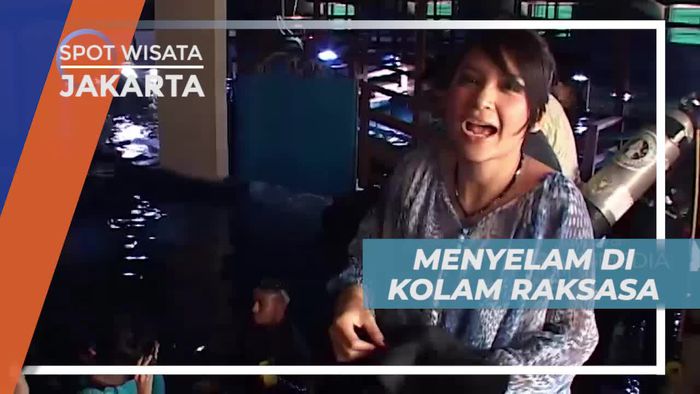 Menyelam di Kolam Raksasa, Melihat Aneka Ikan Cantik, Jakarta