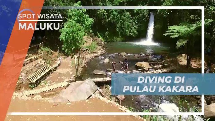 Diving Menikmati Keindahan Bawah Laut Pulau Kakara Maluku Utara
