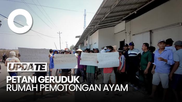 Puluhan Petani di Demak Geruduk Rumah Pemotongan Ayam Gegara Limbah