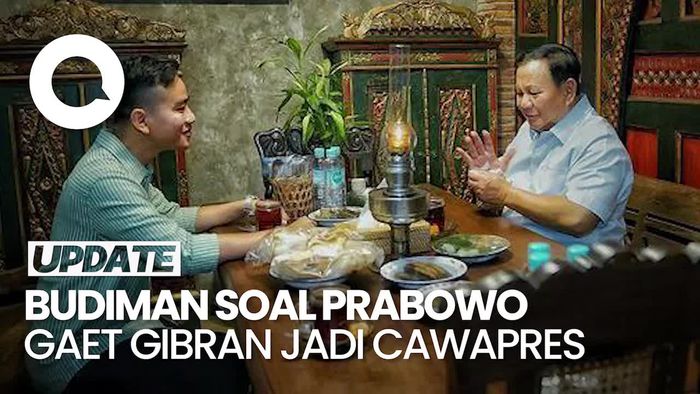 Budiman Sudjatmiko: Kalau Prabowo Mau Ambil Gibran, Tanya ke Megawati