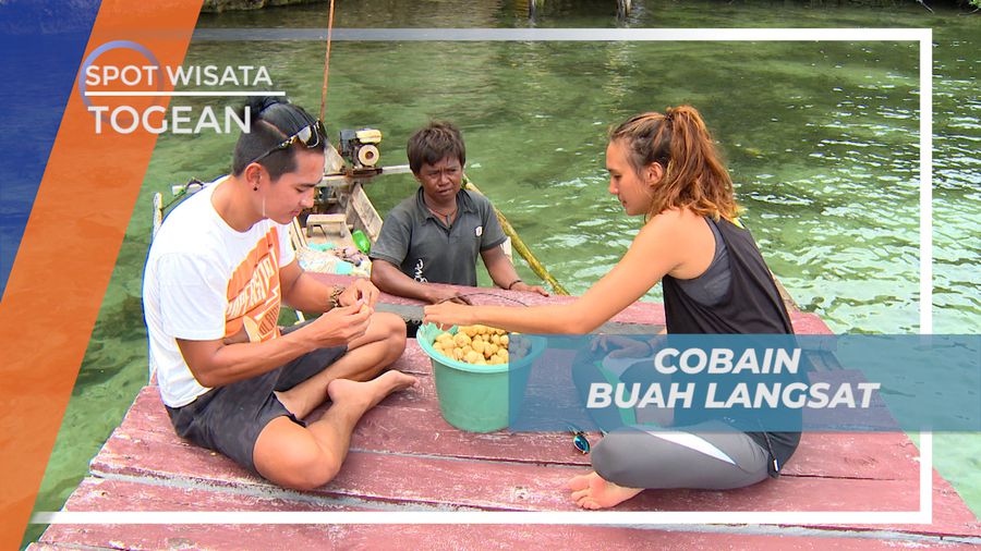 Mencicipi Manis Legit Buah Langsat dari Kepulauan Togean