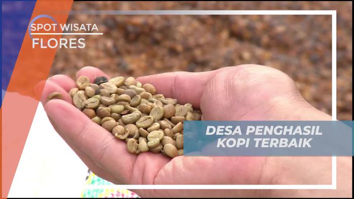 Wae Rebo, Salah Satu Desa Penghasil Kopi Terbaik, Flores