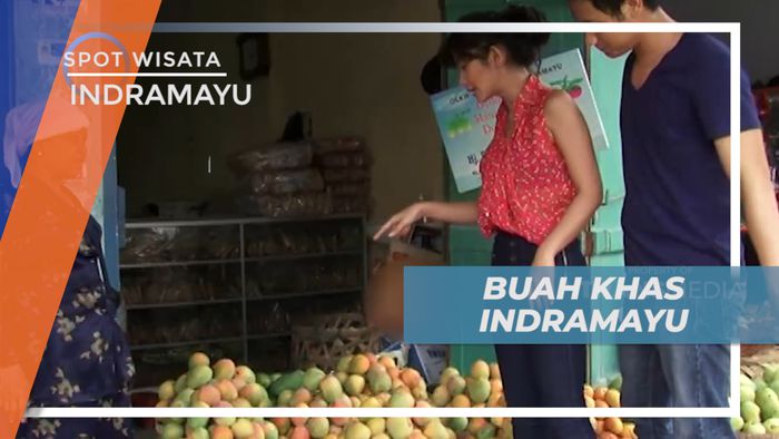 Berburu Manis Legit Cita Rasa Buah Mangga Khas Kota Indramyu
