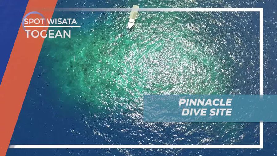 Diving di Pinnacle Dive Site, Ternama Karena Visibilitasnya yang Jernih, Kepulauan Togean