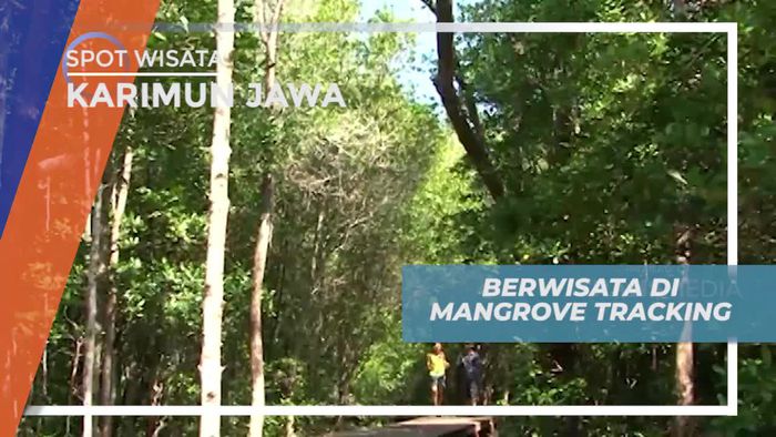 Menyusuri Kawasan Hutan Mangrove Karimunjawa
