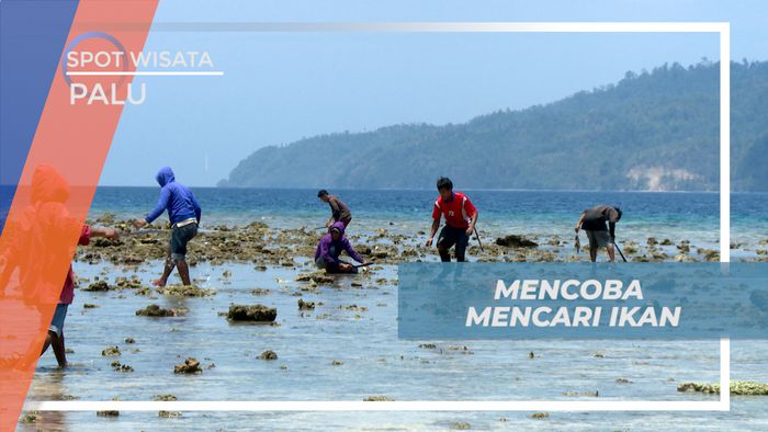 Serunya Berburu Ikan di Tepi Pantai Labuana yang Sedang Surut, Palu