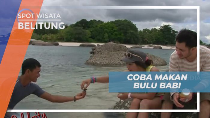 Sensasi Citarasa Unik Makan Binatang Laut Bulu Babi, Belitung
