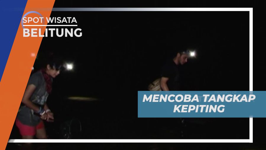 Serunya Menangkap Kepiting di Pantai Pulau Bayan, Belitung