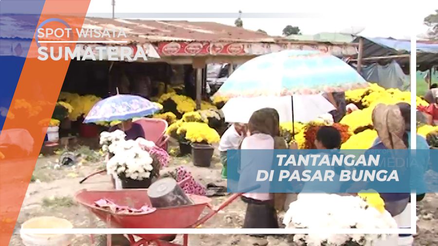 Mengunjungi Pasar Bunga Tradisional di Kota Berastagi, Sumatera Utara