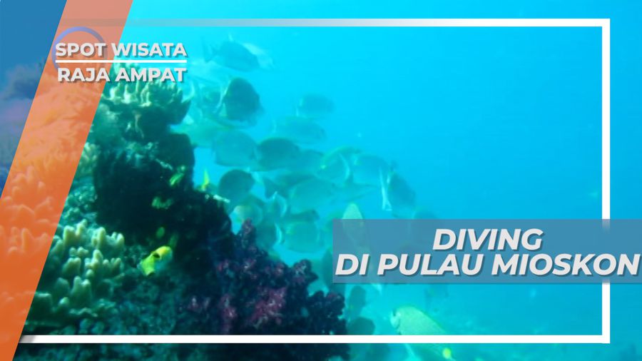 Pulau Mioskon, Menikmati Keindahan Pemandangan Bawah Laut yang Luar Biasa, Raja Ampat