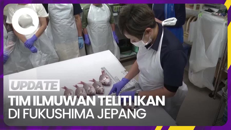 Ikan di Fukushima Bakal Diteliti Tim Ilmuwan Terkait Limbah Nuklir