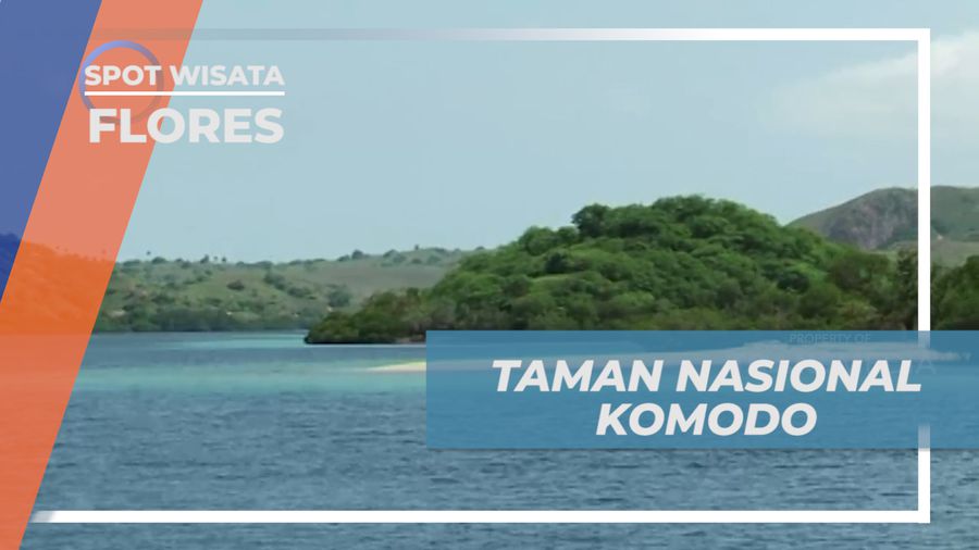 Mengunjungi Taman Nasional Pulau Rinca Untuk Bertemu Komodo, Flores