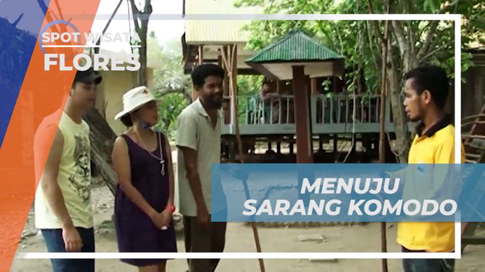 Pengalaman Seru yang Bikin Deg-degan, Melihat Dari Dekat Sarang Komodo, Flores