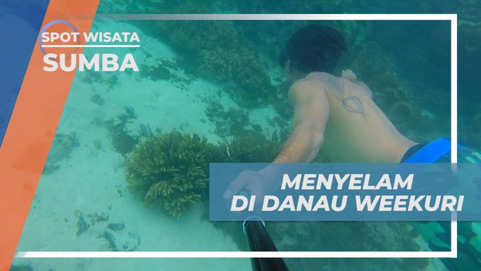 Mengintip Keindahan Surga Bawah Laut Danau Weekuri, Sumba