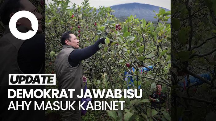 Demokrat: Jika Dipercaya Masuk Pemerintahan, Prioritas Kami di Pertanian