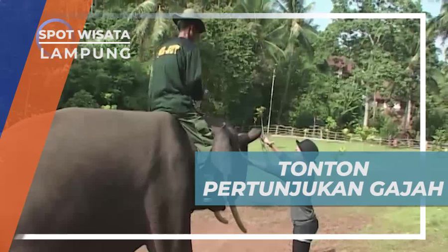 Taman Wisata Bumi Kedaton Lampung, Menonton Pertunjukan Gajah