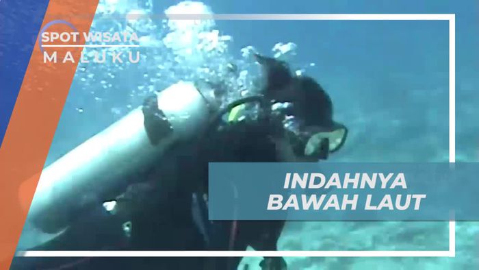 Diving Menikmati Keindahan Alam Bawah Laut Maluku