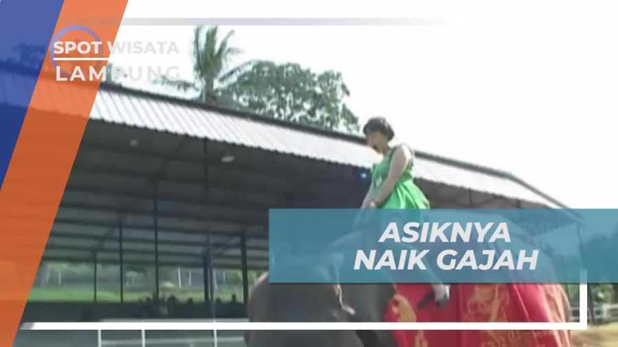 Taman Wisata Bumi Kedaton Lampung, Asiknya Naik Gajah