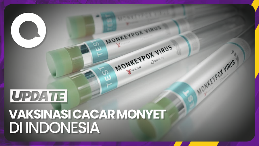 Kemenkes Sediakan 1.000 Vaksin Cacar Monyet untuk 500 Orang